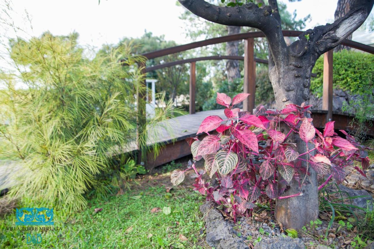 Torremerlata B&B Boscoreale Bagian luar foto