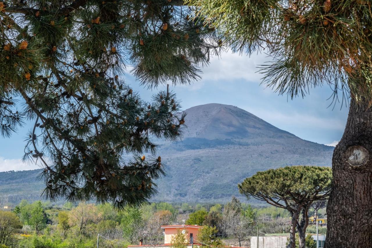 Torremerlata B&B Boscoreale Bagian luar foto